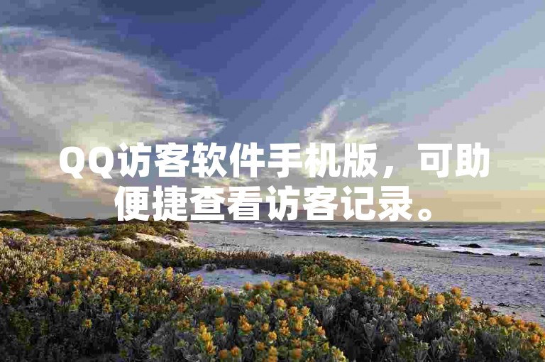 QQ访客软件手机版，可助便捷查看访客记录。