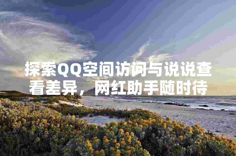 探索QQ空间访问与说说查看差异，网红助手随时待命助你无忧。