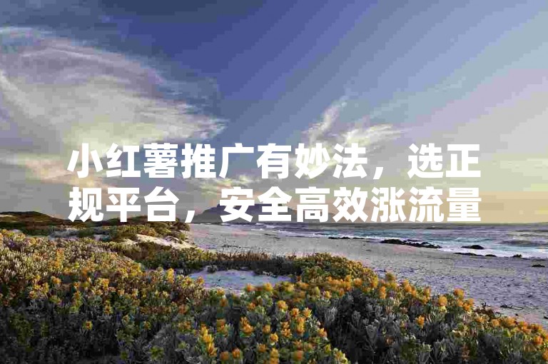 小红薯推广有妙法，选正规平台，安全高效涨流量。