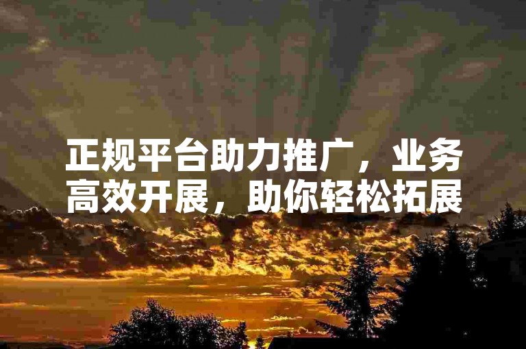 正规平台助力推广，业务高效开展，助你轻松拓展。