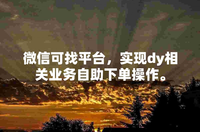 微信可找平台，实现dy相关业务自助下单操作。