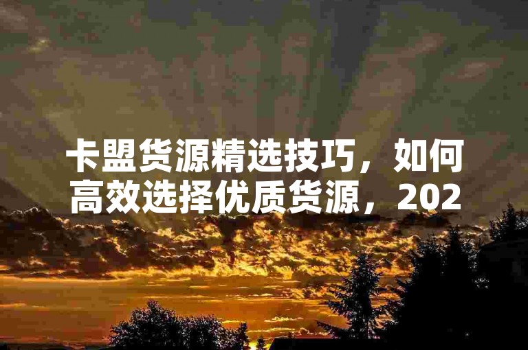 卡盟货源精选技巧，如何高效选择优质货源，2025必备攻略！