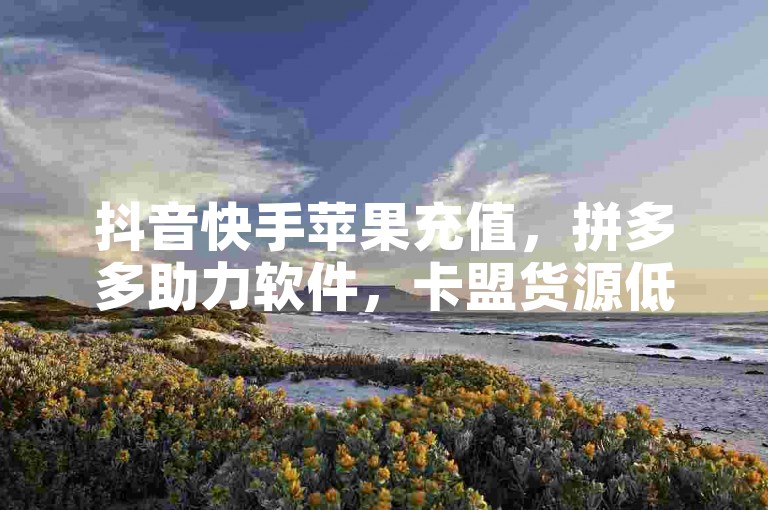 抖音快手苹果充值，拼多多助力软件，卡盟货源低价购。