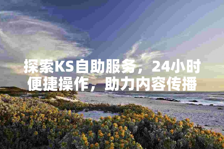探索KS自助服务，24小时便捷操作，助力内容传播无忧。