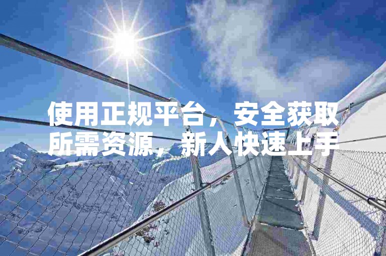 使用正规平台，安全获取所需资源，新人快速上手！