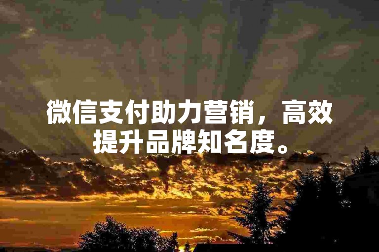 微信支付助力营销，高效提升品牌知名度。