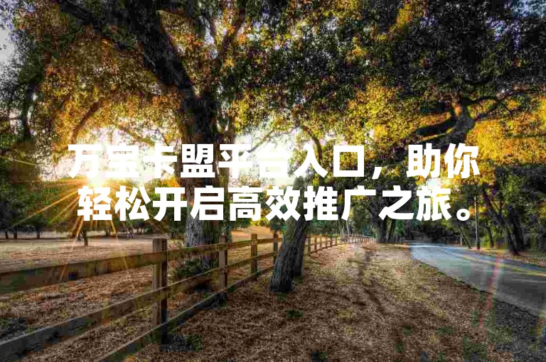 万宝卡盟平台入口，助你轻松开启高效推广之旅。