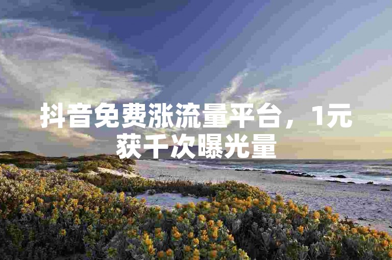 抖音免费涨流量平台，1元获千次曝光量
