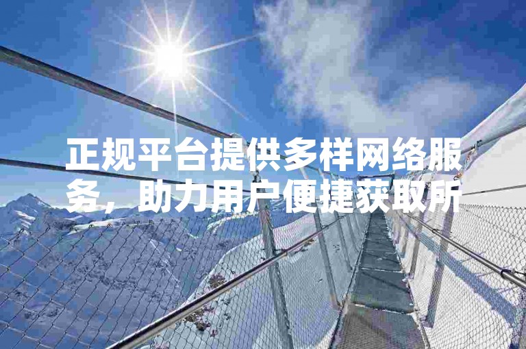 正规平台提供多样网络服务，助力用户便捷获取所需资源。