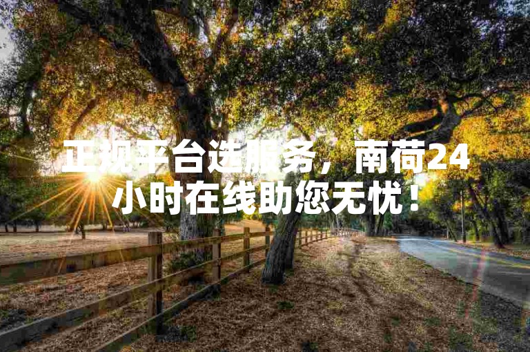 正规平台选服务，南荷24小时在线助您无忧！