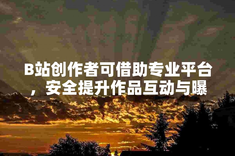 B站创作者可借助专业平台，安全提升作品互动与曝光。