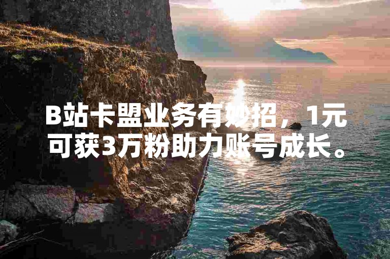 B站卡盟业务有妙招，1元可获3万粉助力账号成长。