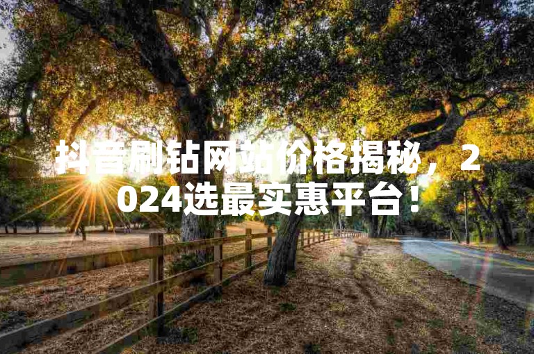 抖音刷钻网站价格揭秘，2024选最实惠平台！