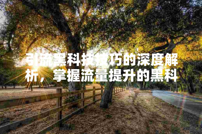 引流黑科技技巧的深度解析，掌握流量提升的黑科技方法！2025必备