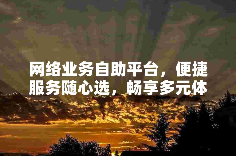 网络业务自助平台，便捷服务随心选，畅享多元体验。