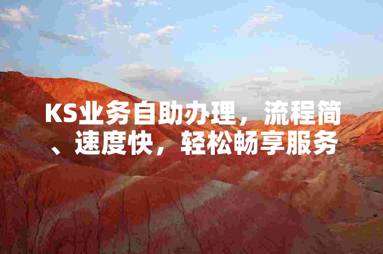 KS业务自助办理，流程简、速度快，轻松畅享服务。