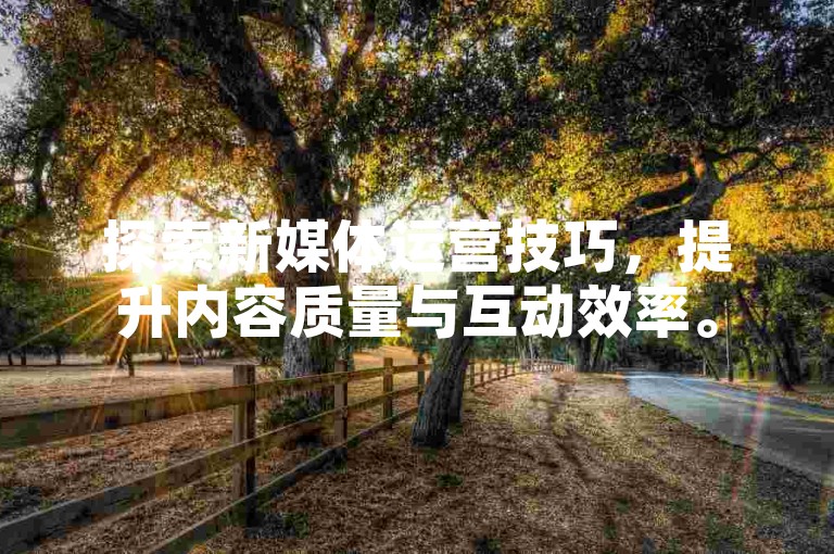探索新媒体运营技巧，提升内容质量与互动效率。