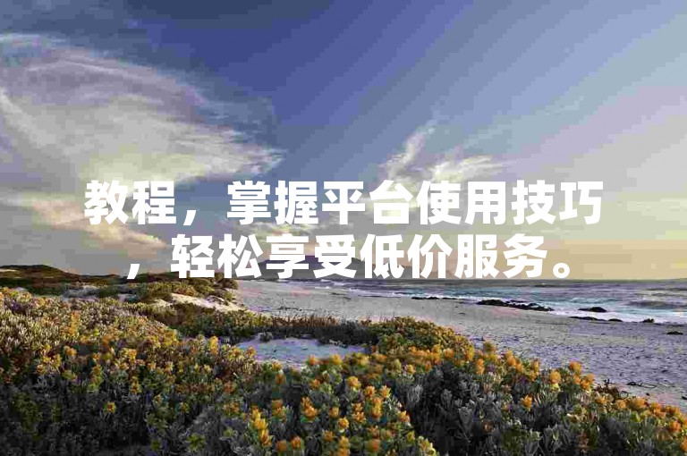 教程，掌握平台使用技巧，轻松享受低价服务。