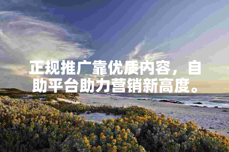 正规推广靠优质内容，自助平台助力营销新高度。