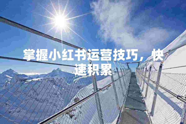 掌握小红书运营技巧，快速积累500忠实粉丝。