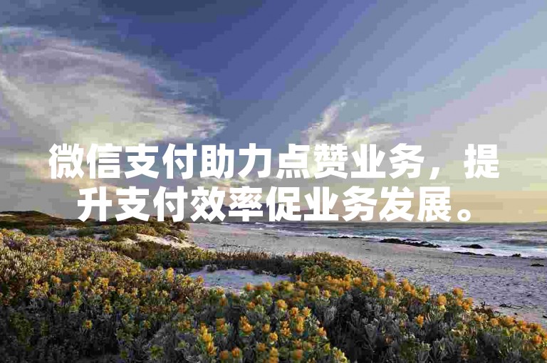 微信支付助力点赞业务，提升支付效率促业务发展。