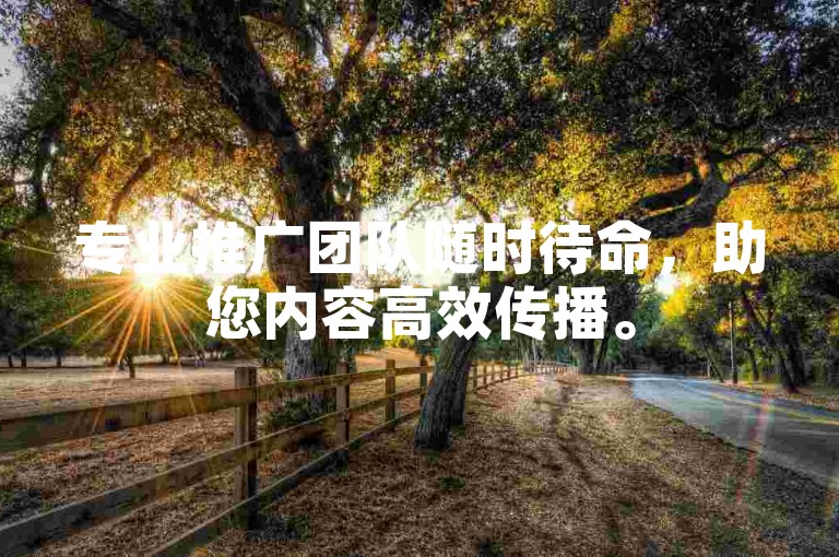 专业推广团队随时待命，助您内容高效传播。