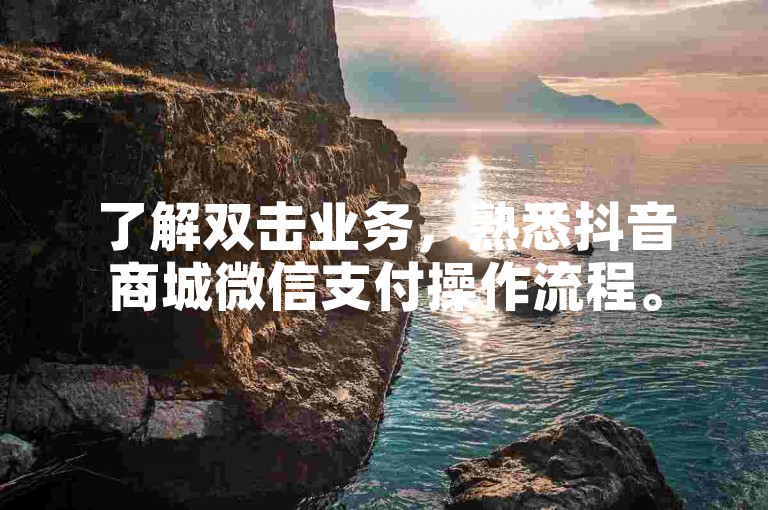 了解双击业务，熟悉抖音商城微信支付操作流程。