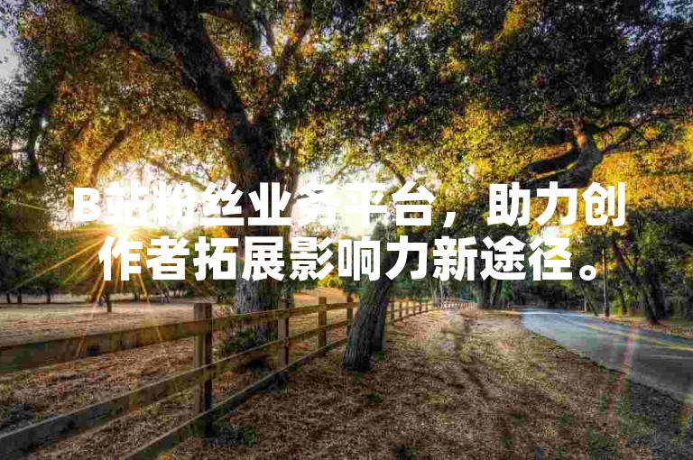 B站粉丝业务平台，助力创作者拓展影响力新途径。