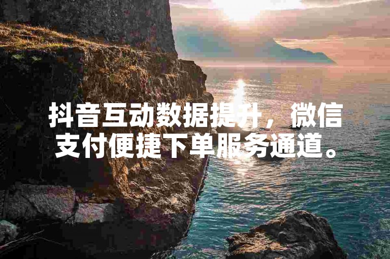 抖音互动数据提升，微信支付便捷下单服务通道。