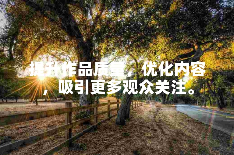 提升作品质量，优化内容，吸引更多观众关注。