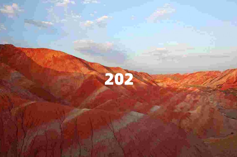 2025必学，猪妖一键点赞助手，快速获取点赞技巧揭秘！