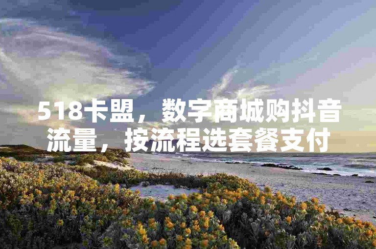 518卡盟，数字商城购抖音流量，按流程选套餐支付即可。
