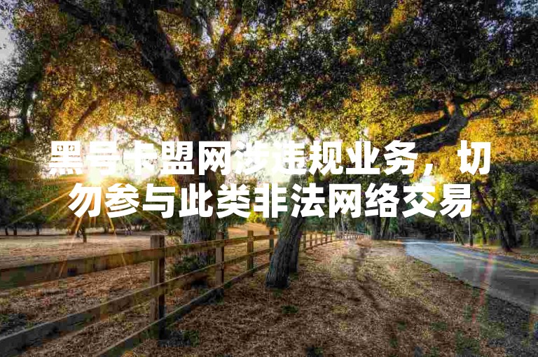 黑号卡盟网涉违规业务，切勿参与此类非法网络交易活动。