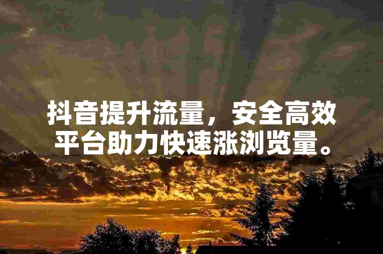 抖音提升流量，安全高效平台助力快速涨浏览量。