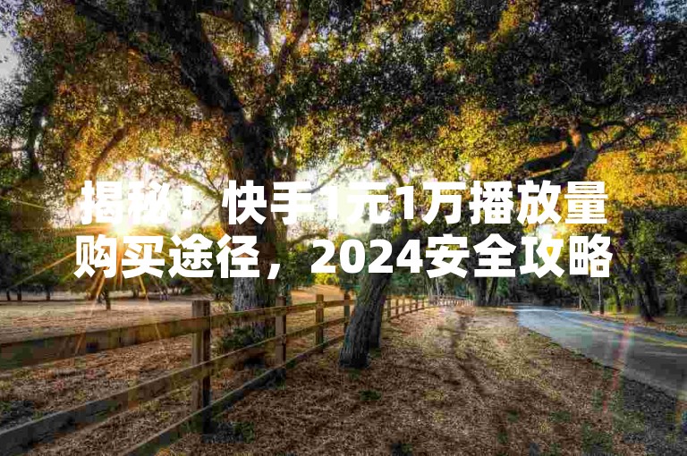 揭秘！快手1元1万播放量购买途径，2024安全攻略分享。
