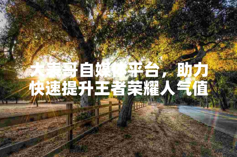 大表哥自媒体平台，助力快速提升王者荣耀人气值。
