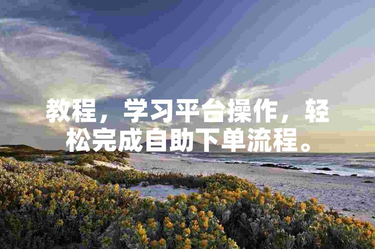 教程，学习平台操作，轻松完成自助下单流程。