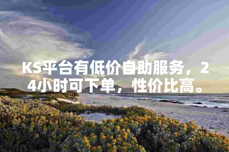 KS平台有低价自助服务，24小时可下单，性价比高。