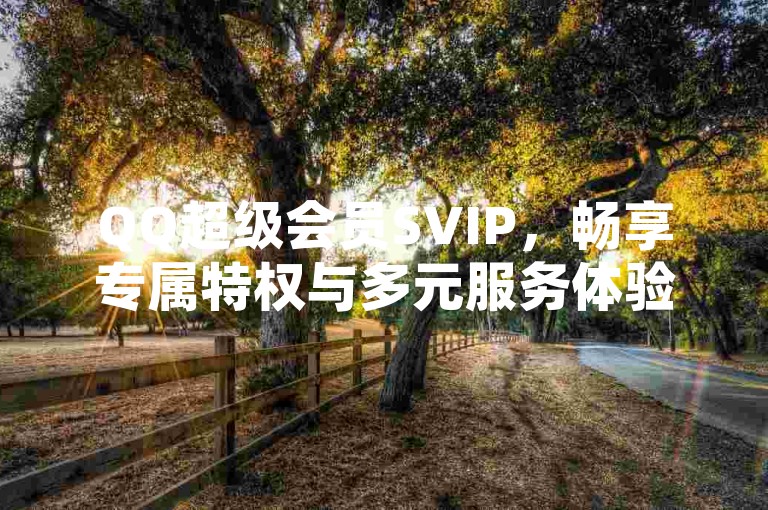 QQ超级会员SVIP，畅享专属特权与多元服务体验。