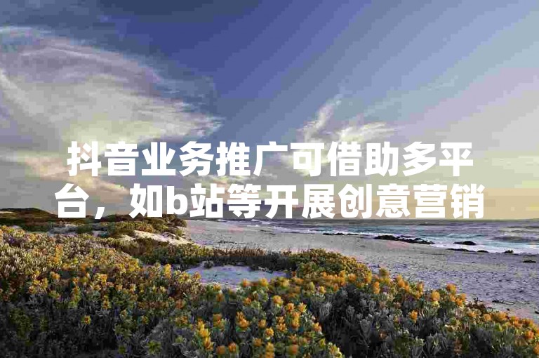 抖音业务推广可借助多平台，如b站等开展创意营销活动。