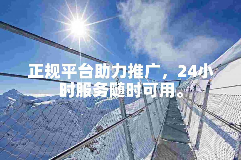 正规平台助力推广，24小时服务随时可用。