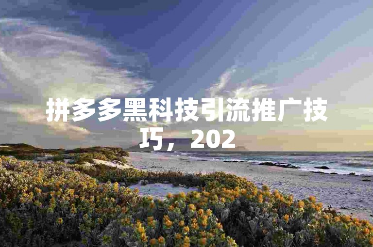 拼多多黑科技引流推广技巧，2025助你轻松获客！