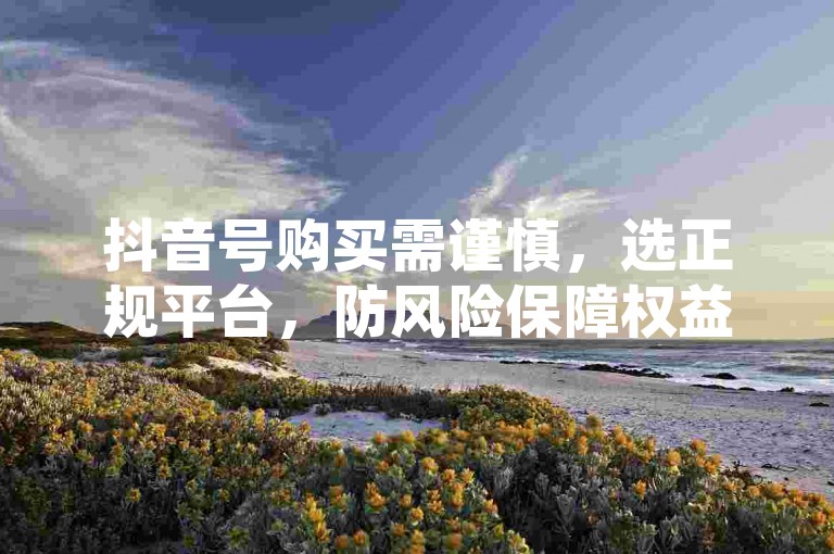 抖音号购买需谨慎，选正规平台，防风险保障权益。