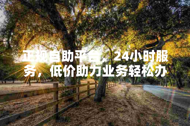 正规自助平台，24小时服务，低价助力业务轻松办。