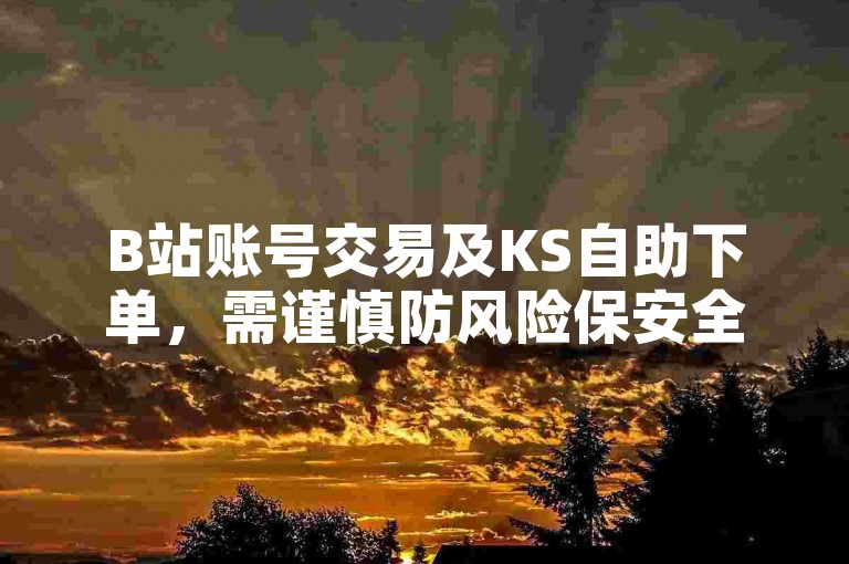 B站账号交易及KS自助下单，需谨慎防风险保安全。