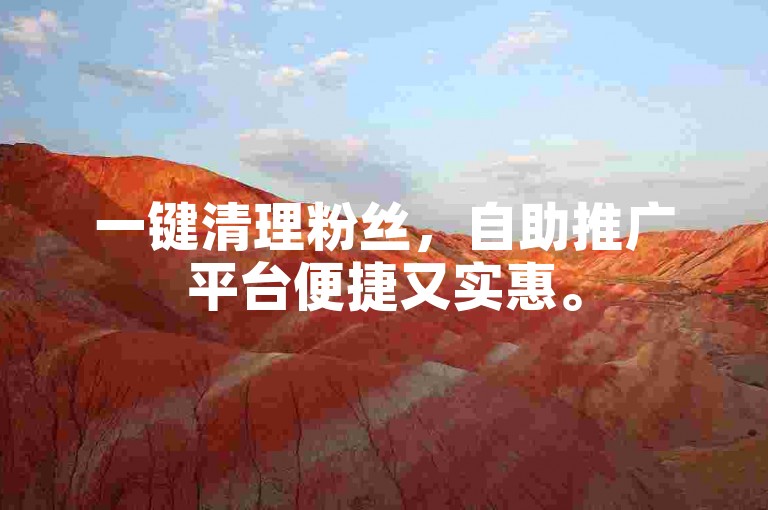 一键清理粉丝，自助推广平台便捷又实惠。