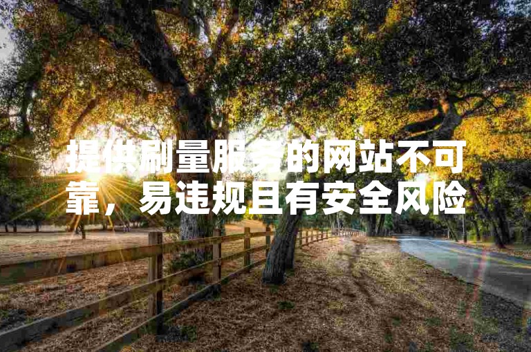 提供刷量服务的网站不可靠，易违规且有安全风险。