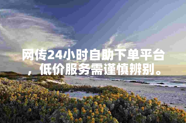 网传24小时自助下单平台，低价服务需谨慎辨别。