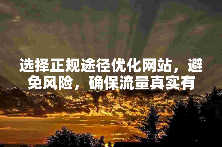 选择正规途径优化网站，避免风险，确保流量真实有效。