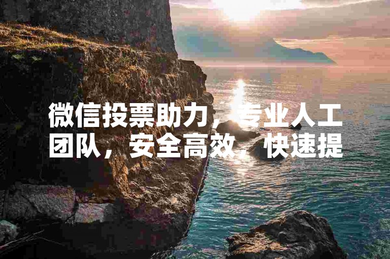 微信投票助力，专业人工团队，安全高效，快速提升票数。